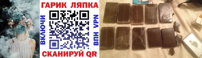 блэк спрут зеркало  цены наркотик  Воронеж  Гашиш индика сатива 