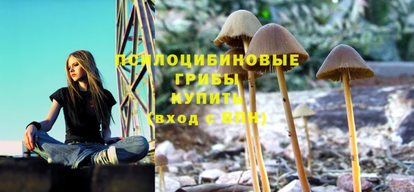 мет Баксан