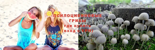 ALPHA PVP Беломорск