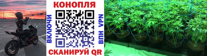 Конопля индика  Воронеж 